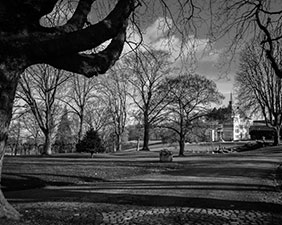 Landschap